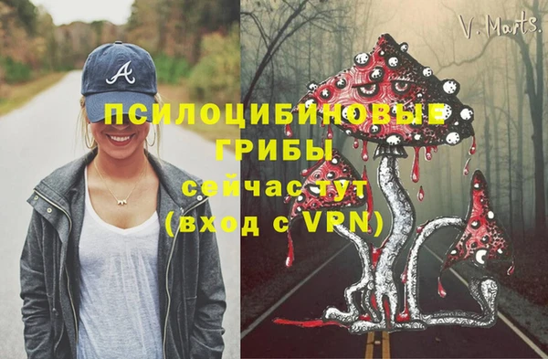 2c-b Ладушкин