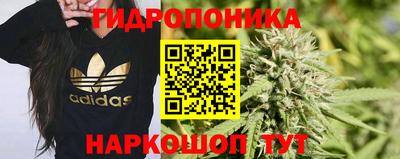 гашик Ипатово