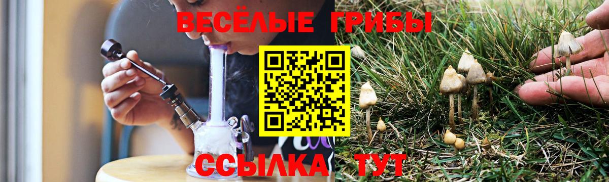 Псилоцибиновые грибы ЛСД  Псилоцибиновые грибы мухоморы  Вход с VPN  Чистополь 
