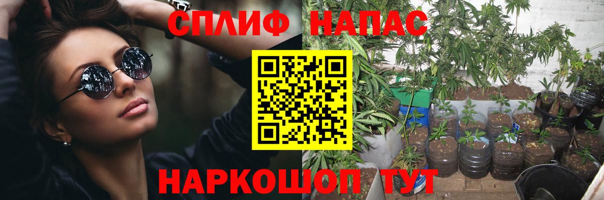 Бошки Шишки семена  Каннабис тримм  Чистополь  Конопля LSD WEED  Бошки Шишки Amnesia 